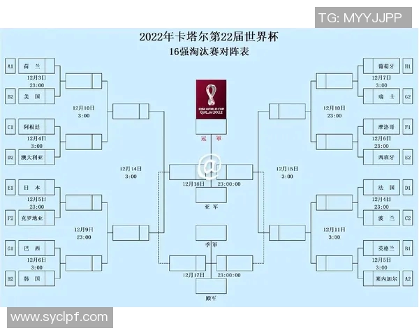 世界杯球星赛前状态深度解析分析与未来表现预判