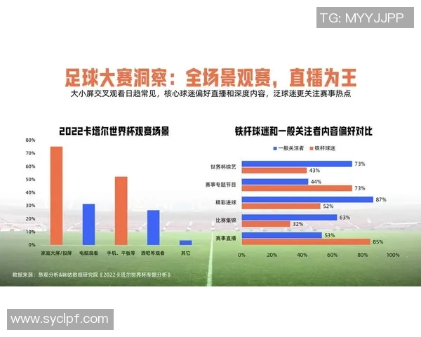 欧洲杯赛事媒体传播与市场营销策略