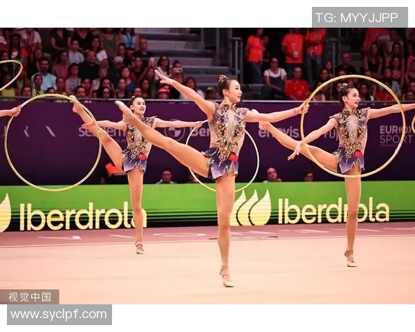 奥运会体操项目动作完成度评价与裁判判定标准体系研究